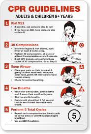 Scouts Guides Bsg First Aid Cpr Cardio Pulmonary