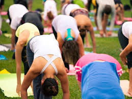 Each sunday morning, christopher key chapple opens his 8:30 yoga class with eight rounds of surya namaskar (sun salutation). Surya Namaskara C Warming Up With Sun Salutation C