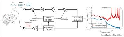 Which of the following statements about seelie is true? Toward True Closed Loop Neuromodulation Artifact Free Recording During Stimulation Sciencedirect