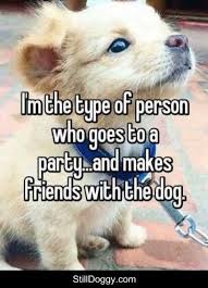 Pin On Dog Memes