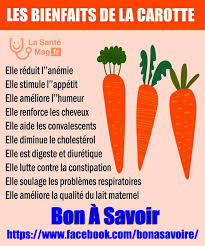 Les Bienfaits De La Carotte Bienfaits De La Carotte Aliments Bons Pour La Sante Astuce Pour Maigrir