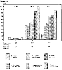Image result for Macrotyloma daltonii