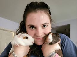 Welcome to the Jungle: Pearl and Sandy the guinea pigs