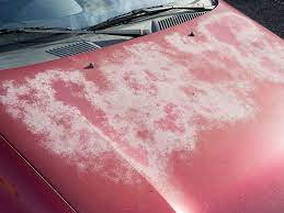 We did not find results for: How To Protect Car Paint Essential Tips Autoglass Blog
