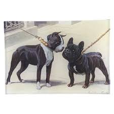 Boston terrier vs french bulldog which is better? Boston Terrier French Bulldog John Derian Company Inc