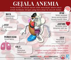 Ibu hamil kurang darah, ibu hamil hb nya tidak normal atau hb rendah nah itu masalah umum yang sering dialami ibu hamil hb. Geng Farmasi Otai ×'×˜×•×•×™×˜×¨ Anemia Atau Biasanya Masyarakat Umum Kenal Sebagai Penyakit Tidak Cukup Darah Ketahui Gejala Anemia Dengan Lebih Lanjut Sumber Pusat Darah Negara Pdn Https T Co Fn7luko9jr