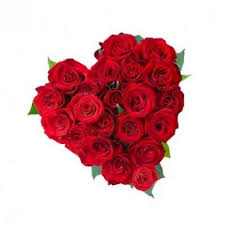 Now send flowers to india from canada from the comfort of your house. Send Flowers To India From Canada Flowers Delivery In India From Canada