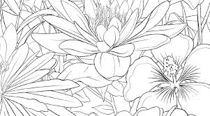 This is an easy way in which to reuse patterns throughout multiple coloring pages as well as a way to quickly run through simple, classic pattern styles and fill up space in a larger composition. Adobe Coloring Book