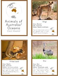 Montessori Animals Of Australia 3 Part Cards And Fact Cards Australia Animals Australian Animals Animals