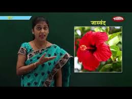Flowers In Marathi Learn Marathi For Kids Marathi For Beginners