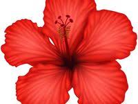 Cara menggambar bunga mawar dengan mudah cocok untuk anak download. Seni