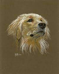 Draw somebody/something to do something italy has been drawn to play spain. Pin By Anna Campana On Art Pastel Art Pet Portraiture Animal Paintings