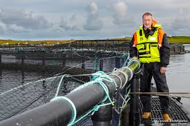The group is also developing a salmon processing activity. Salmon Body Optimistic Grieg Seafood Will Find A Buyer Shetland News