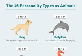 Ask Them About Their Theory On Everything Intjs Complex Minds Continuously Work In A Way That Mo Personality Types Infp Personality Type Infp T Personality