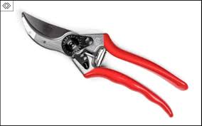 These loppers cut thru them like butter. they are light weight and being able to fold them up to i only broke it when one of the levers snapped off under extreme effort on my part. Felco F5 Prunes Prouduct Review Grow Food Guide
