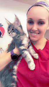 Apple Valley Veterinary Clinic, 2809 N Park Drive Ln, Appleton, WI 54911,  US