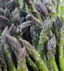Image result for Asparagus buchananii