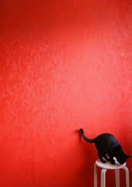 r e d おしゃれまとめの人気アイデア pinterest miyako 三原色 子猫 赤い美学