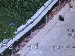 중부내륙고속도로
