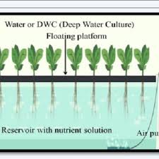 Shows The Nutrient Film Technique Nft Water Culture Or Deep Water Download Scientific Diagram