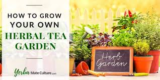 Check spelling or type a new query. How To Grow Your Own Herbal Tea Garden