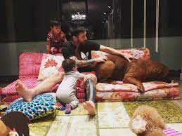Lionel messi won his 500th club match in spanish football last night. Messis Haustier Vom Sussen Welpen Zum Xxl Hund