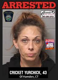 Vehicle taken with pets inside.