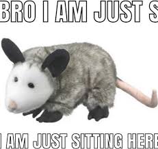 Pin On Memes Top Text Ok Buddy Retard