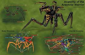 Maybe you would like to learn more about one of these? 1 0 Starshiptroopers Arachnid Ver5 0 The Bugs Are Back