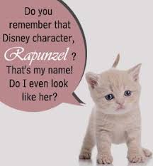 From adorable furballs to devious feline villains, films from disney were packed with iconic cats. 80 Cute Cat Names Inspired By Disney Characters Cat Names Cute Cat Names Disney Characters