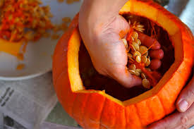 Image result for feeling the insides of a pumpkin