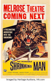 We did not find results for: The Incredible Shrinking Man Universal International 1957 Lot 87000 Heritage Auctions