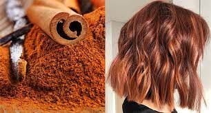 Il castano caramello è tra le tendenze più amate dalla moda capelli 2017. I Capelli Color Cannella Si Riconfermano All Ultimo Grido
