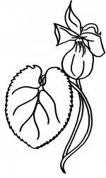 Maybe you would like to learn more about one of these? Desene De Colorat Flori Qbebe Planse Si Imagini De Colorat