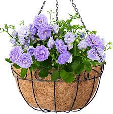 Ageomet 3pcs artificial hanging plants, 3.6ft fake hanging plant, fake ivy vine for wall house room indoor outdoor decoration (no baskets) visit the ageomet store 4.4 out of 5 stars 7,815 ratings Amazon Com 4 Pack Hanging Plant Baskets With Coco Coir Liner 14 Inch Round For Outdoor Flower Pots Planter Holder Wire Metal With Chain Porch Decor Hanger Garden Decoration Indoor Outdoor Large Baskets