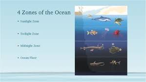 Ocean Zones Powerpoint Worksheets Teaching Resources Tpt Usda/agricultural research service/oregon state university. ocean zones powerpoint worksheets