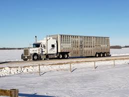 Pin By Steven Richardson On Bullwagons Custom Big Rigs Classic Trucks Trucks