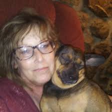 Flea infestation treatments for dogs?