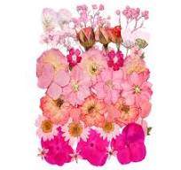 15 Types 37pcs Pink Dried Pressed Flowers for Resin Molds,Real Natural  Pressed Flowers for DIY Art Crafts,Candle Making, Nails Décor,Soap Making,  ...
