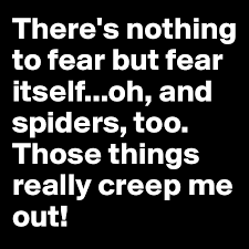 Check spelling or type a new query. There S Nothing To Fear But Fear Itself Oh And Spiders Too Those Things Really Creep Me Out Post By Petegutz2 On Boldomatic