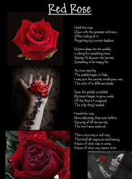 Maybe you would like to learn more about one of these? 25 Beautiful Red Roses Images With Love Quotes Entertainmentmesh