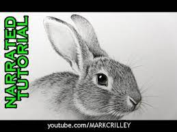 If you want, you can draw a rabbit with protruding ears. How To Draw A Rabbit Narrated Step By Step Youtube