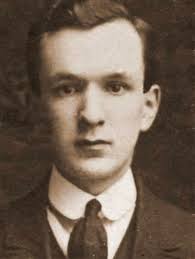 photopol: Polyester Poppies