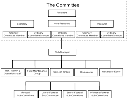 sport what is meant by organisation structure