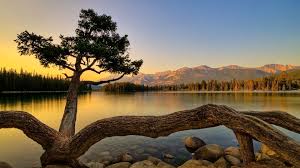 For 1080p widescreen lcd monitor hd beautiful landscape. World Nature Full Hd Wallpaper Group 0