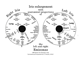 Iris Markings The Basics Of Iridology