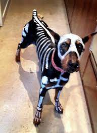 Interested in supporting our channel for free?! Halloween Party Details