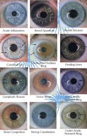 Online Iridology Reading Process Step And Cost Iriscope