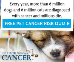 Coughing is a natural response by the body to any irritation or abnormality of the airway. Cancer In Dogs 11 Symptoms You Don T Want To Miss