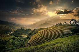 Pin On Lands Of Rice Terre Di Riso